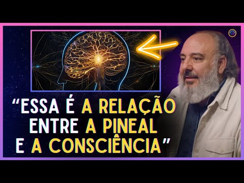 The Pineal Gland: The Link between Science and Spirituality | Evolving Mind | Dr. Sérgio Felipe