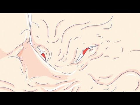 Furia | Short Film by Siuda Julia | Trailer