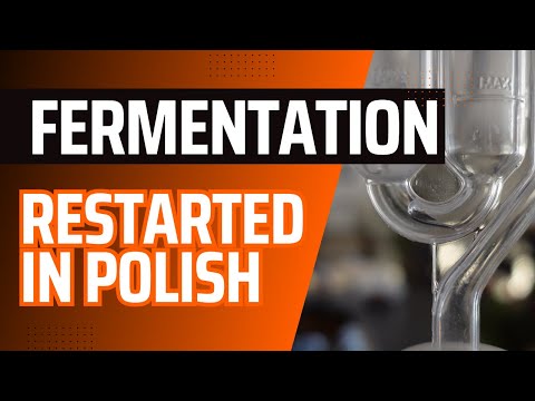 I Think I Messed Up My Wine Kit - Backsweetening Gone Wrong