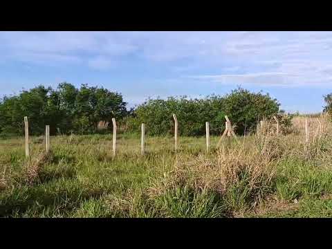 TERRENO COM 18.000M² - IPAUSSU - SÃO PAULO - ID 97806