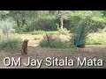 Sitala Ma Ni Arati