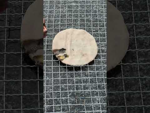 You vs 3000 amps. The third rail’s electricity will cook you #science #experiment #trespass