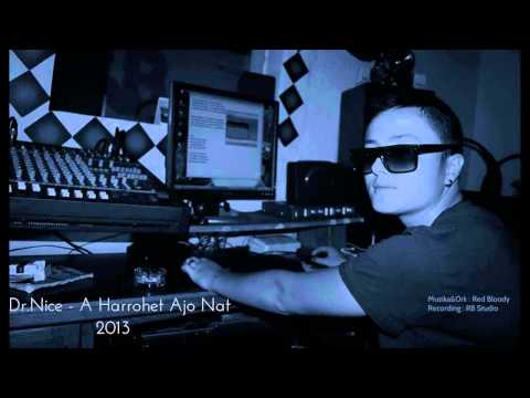 Dr.Nice - A harrohet ajo nat 2013
