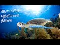 Tortoise Story Tamil The Long Life Cycle Of The Tortoise Symbolises Immortality Tamil Motivation