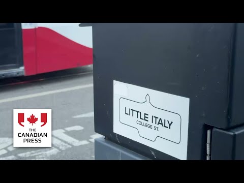 Potential Canada-Italy World Cup game in Toronto would be 'electric,' fans say