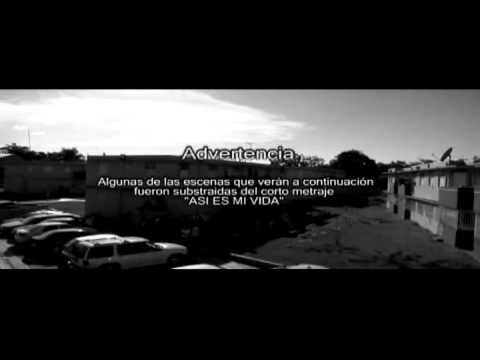 -Asi Es Mi Vida- Coculluela-  Ft. Syko, De La Ghetto , Yomo y Guelo Star