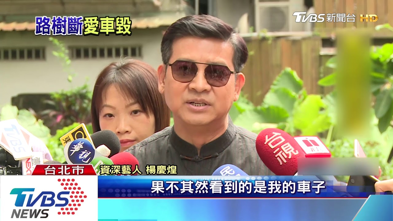 強風釀禍？停車場路樹突倒　楊慶煌愛車毀