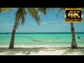 🌴Calm Tropical Beach Relax on a hammock with Wave Sounds 8 hrs 4K