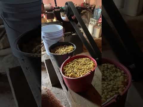 En el molino  de buena vista ,  villa de Guadalupe san Luis  Potosí