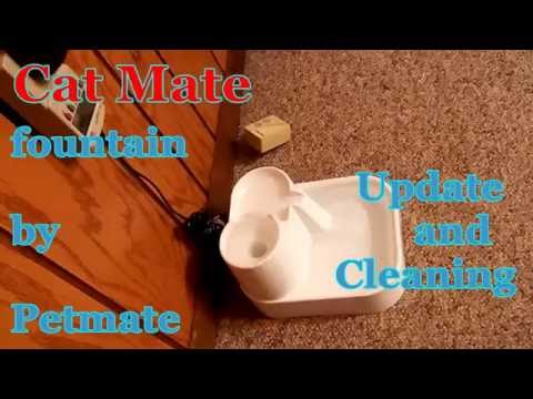 Cat Mate Pet Fountain - Update and Cleaning