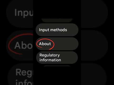 How to activate Developer options on Google Pixel Watch