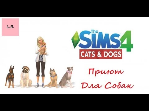 Симс 4 питомцы приют. Создай свою собаку. Симс 4 позы с питомцами. Симс 3 животные приют. Симс 4 питомцы приют.