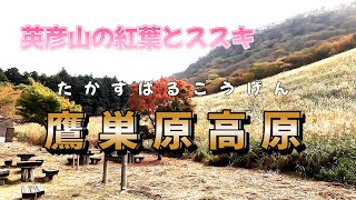 紅葉とススキの鷹巣原高原　2024年　　4K60P映像　空撮　ドローン激突墜落