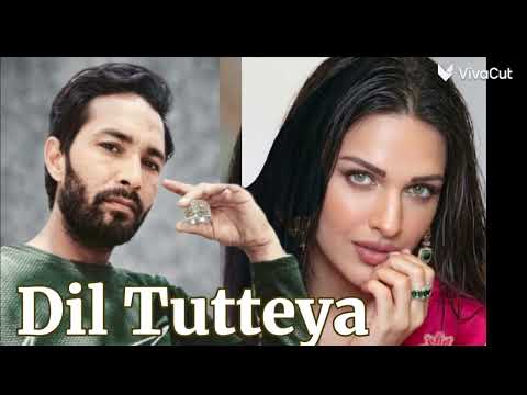 Dil Tutteya