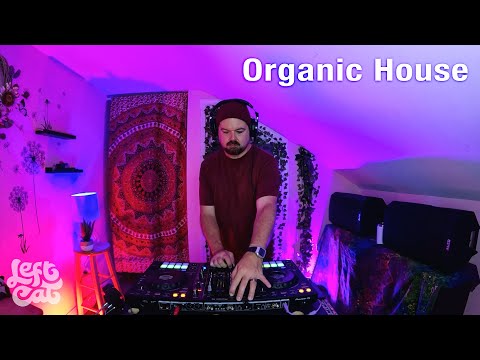 Mollono.Bass, Sabo, Namito, Analog Sol, Tebra | Organic House #15 | DJ Left Cat
