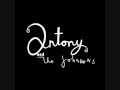 Antony & The Johnsons, Paddy's gone