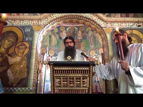 2017 10 31 Свети апостол Лука и свети Петар Цетињски - О.Рафаило