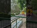 Sugar Cane Train Ride…  #trains #railway #chasingtrains #railwaycrossing   #locomotive #railwa #for