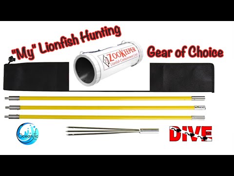Choose your Pole Spear and Lionfish Containment Unit WISELY ! Catch More ...