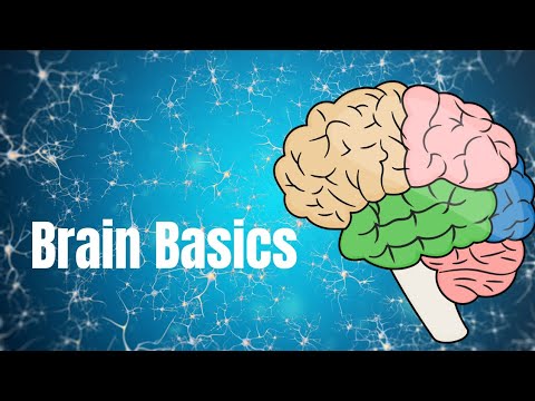 Brain: Know Your Mind #brain #science