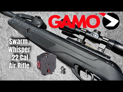 Best Budget Air Rifle: Gamo Swarm Whisper