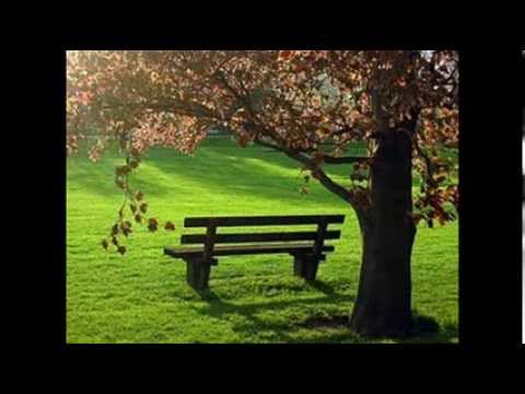 20 Aniversario - Patxi Andión