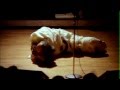 Pearl Jam - Last Exit 