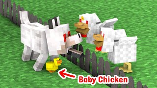 Monster School : Dog's Love For Chicks - Minecraft Animation