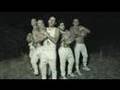Donots - Stop the Clocks (Official Video) 