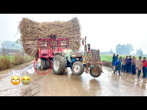 Fully Load Sugarcane Trailer Stuck In Mud Rescue with Ford & Belarus