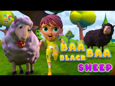 Baa Baa Black Sheep | Sheep Song for Kids & More Nursery Rhymes | @BBTVKIDS