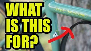 The Reason This Bike Has This...Not What I Was Expecting