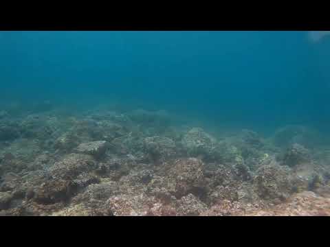 2022 0518 112619 059