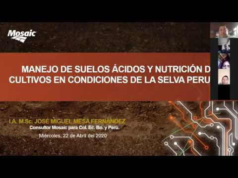 Manejo de Suelos Ácidos y Nutrición de Cultivos en Condiciones de La Selva Peruana
