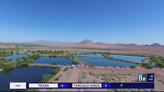 Henderson Bird Viewing Preserve offers opportunities for bird watchers on World Wildlife Day