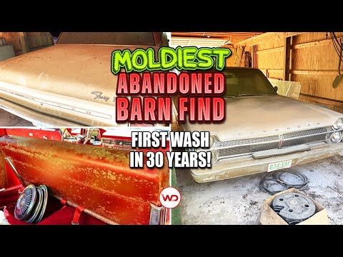 MOLDY ABANDONED BARN FIND First Wash In 30 Years Plymouth Fury! Satisfying Car Detailing Restoration