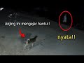 PALING SERAM PENAMPAKAN HANTU TEREKAM JELAS KAMERA CCTV