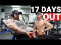 peak week considerations | posing update 17 days out.