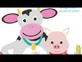 Baby McDonald GettyImages Stock Footage Part Two