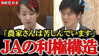 第5次下請け多重マージンの中抜き構造が日本の農家さんを苦しめる【参政党】【高市早苗】【神谷宗幣】【杉本純子】#参政党 #神谷宗幣 #和田政宗 #高市早苗