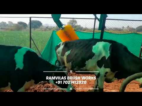 Cow Massage Brush