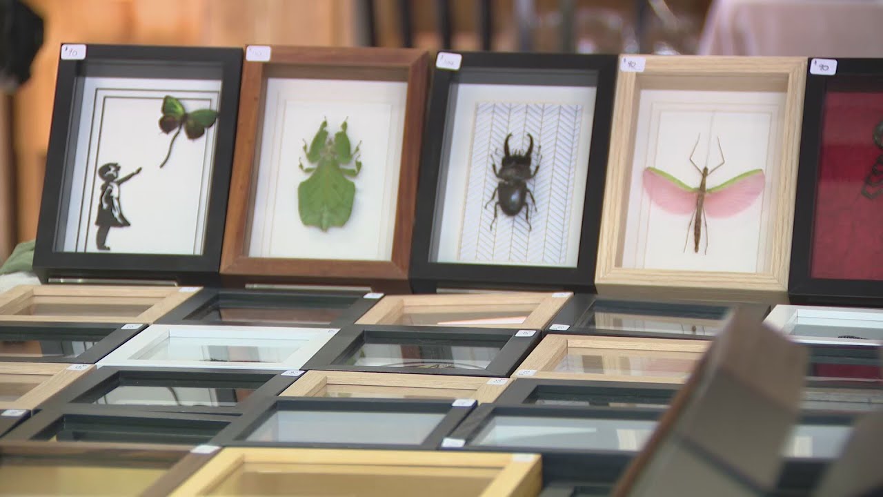 Video thumbnail for Dozens of Forest Park garages turn into art galleries for annual event