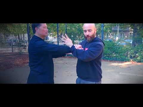 Chen Taijiquan