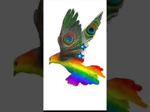 गुंजी सी है सारी फिजा