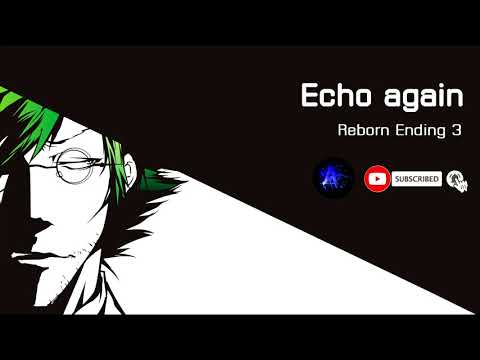 Reborn Ending 3 Echo again
