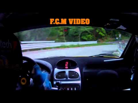 CameraCar Rally Ronde Gomitolo di Lana Corsi - Botto Peugeot 206 Super 1600