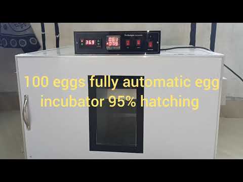 Technique egg incubator