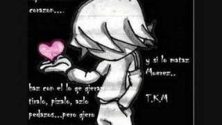 ALEKS SYNTEK  intocable