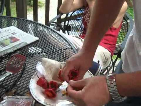 download lagu mp3 mp4 Cajun Belle Recipes, download lagu Cajun Belle Recipes gratis, unduh video klip Cajun Belle Recipes