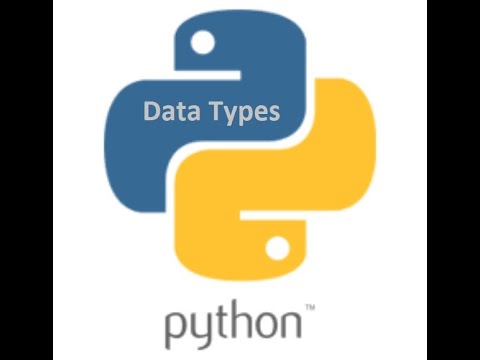 Python Beginners Data Types 360 Proit